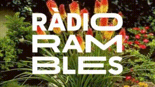 Radio visible #11 Hacer Historia(s) V cuerpo, archivo y memoria