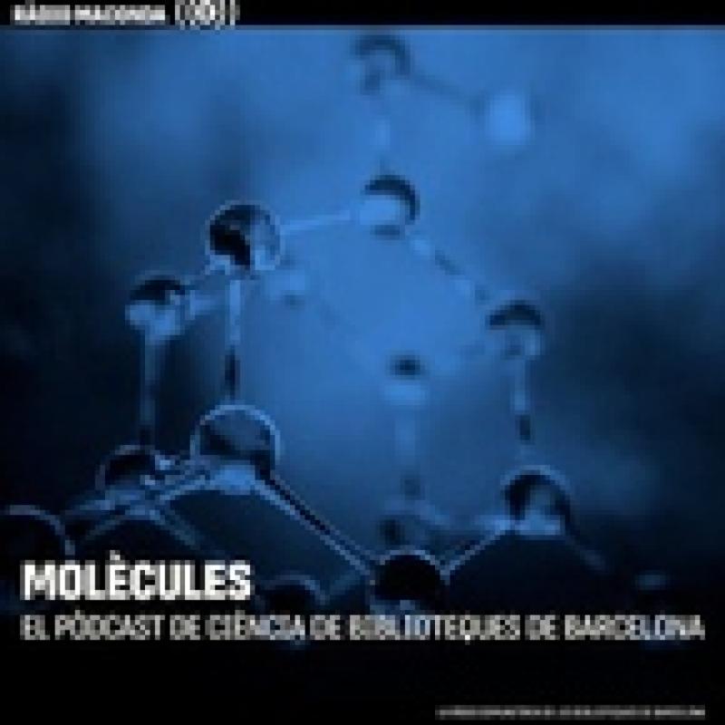 L’emergència climàtica i les veritats incòmodes
