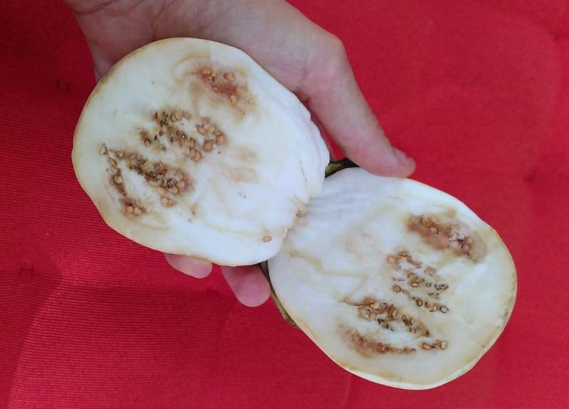 Comida pocha – Capítol 1