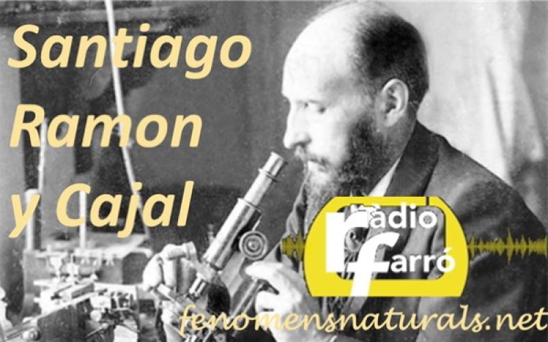 Fenòmens naturals_Cajal, se forja un científico