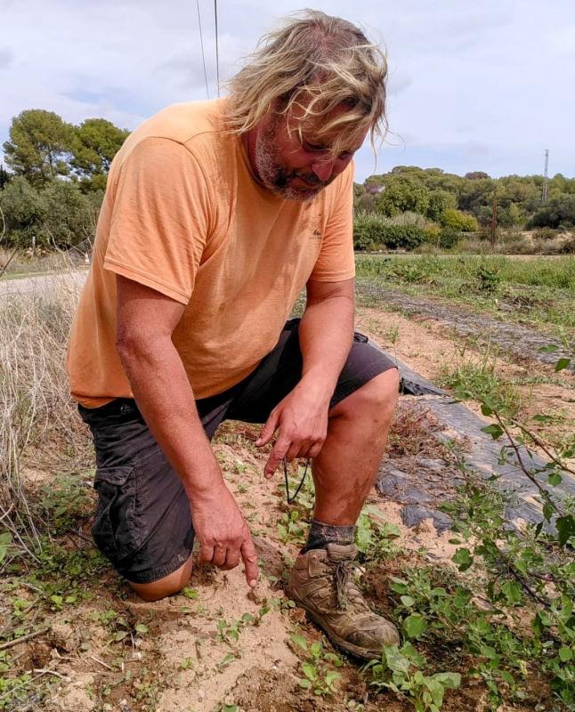 Comida Pocha – Capítol 2